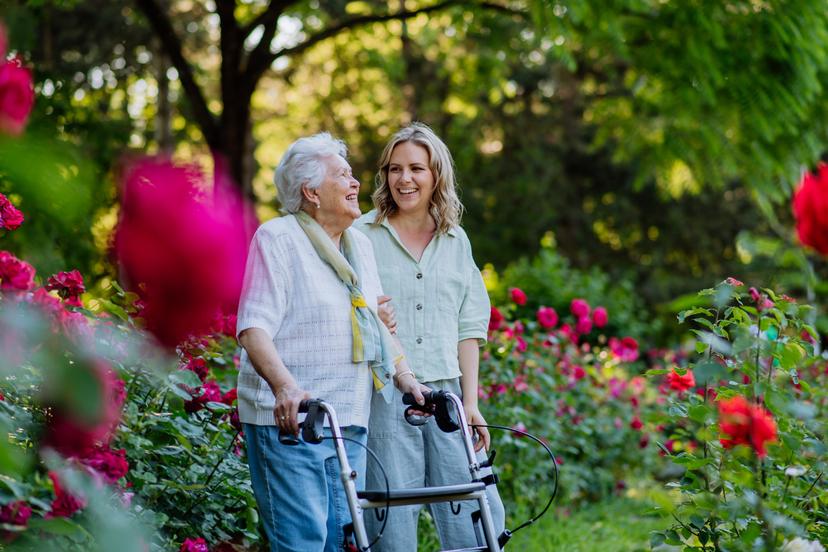 Visitation til plejehjem og plejebolig