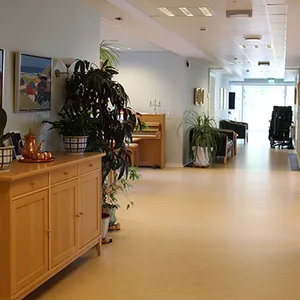 jyvo5ev6pkirkmb